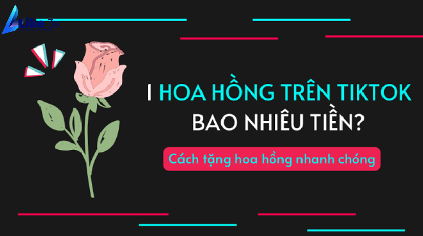  Livestream Tiktok ngành hàng điện tử & bách hóa 